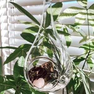 Carmel Beach Air Plant Terrarium